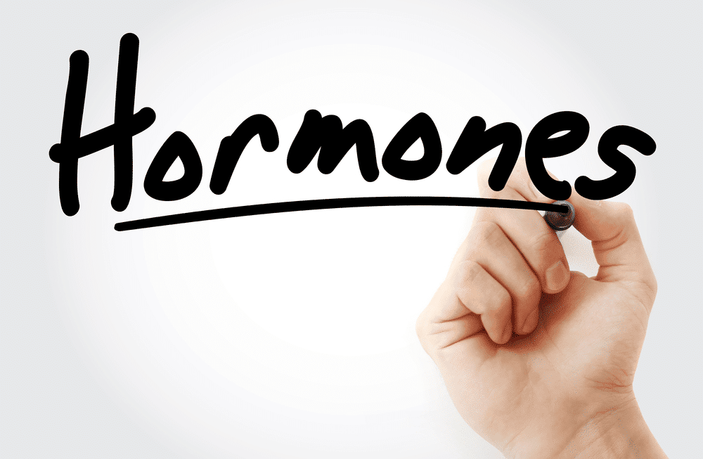 Which Hormones Make You Gain Weight? Which Hormones Make You Lose Weight? A Comprehensive Guide