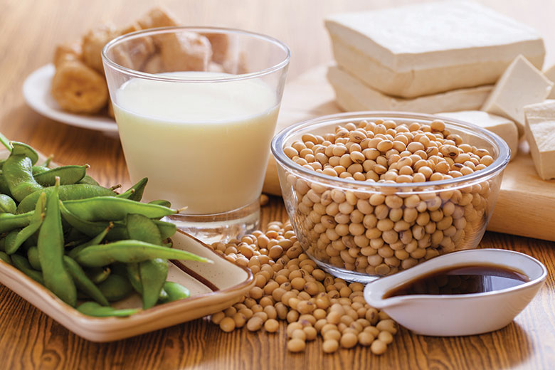 What are the health hazards of eating too much soy milk, beans, and soybeans? |Can ketogenic eat beans?