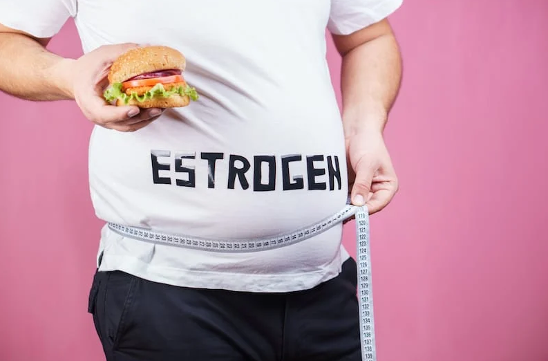 Why Does Estrogen Make You Fat? How to avoid High Estrogen?