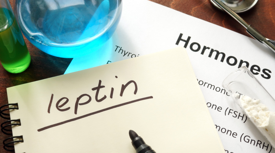 What is Leptin? What is Leptin Resistance?